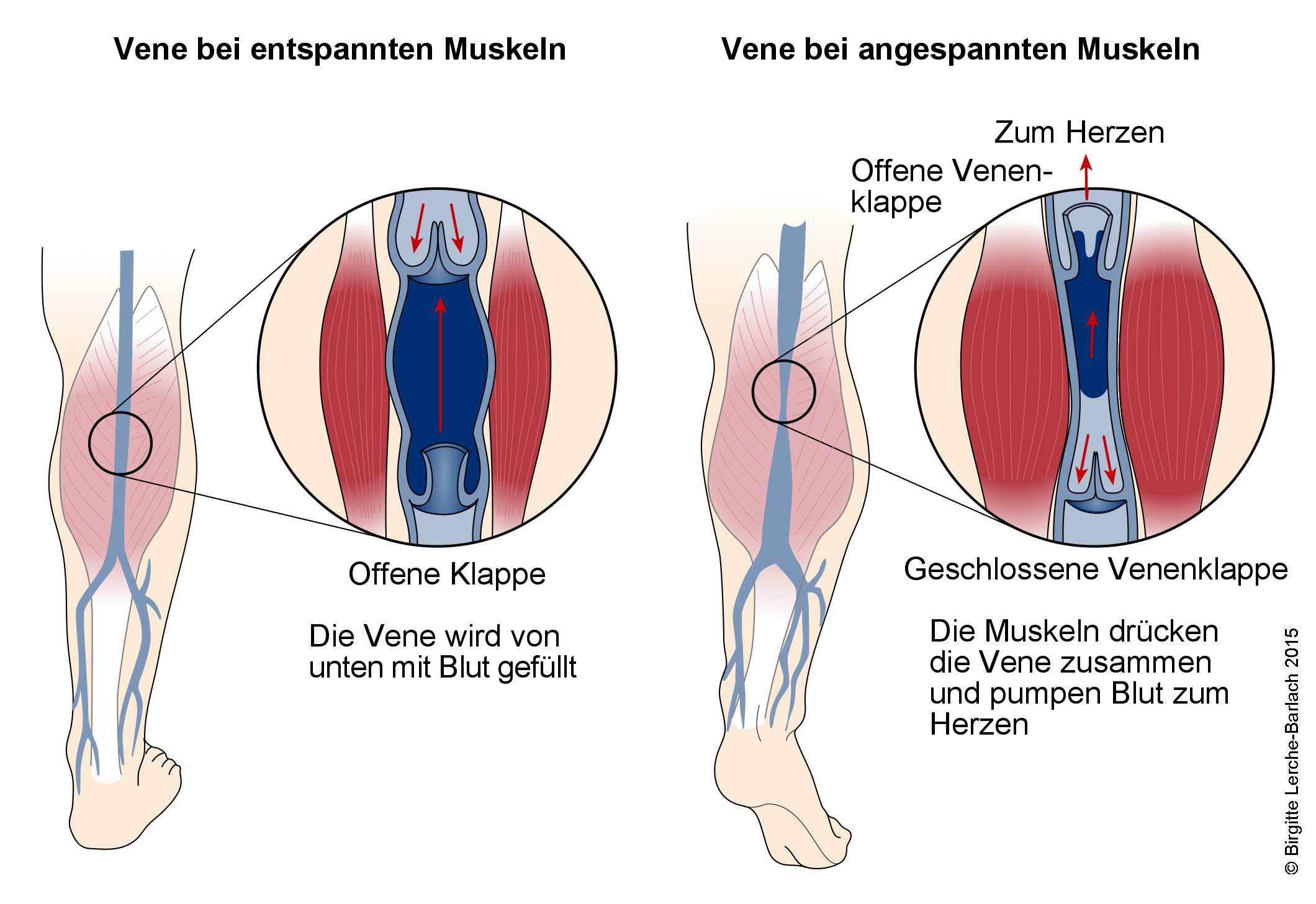 c19 steroide Zu verkaufen – Wie viel ist Ihr Wert?