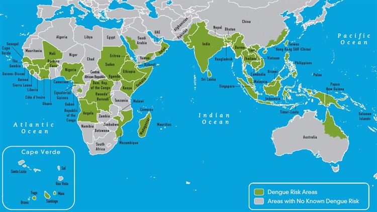 Dengue, Ausbreitung: Afrika, Asien, Australien Dengue, Ausbreitung: Afrika, Asien, Australien