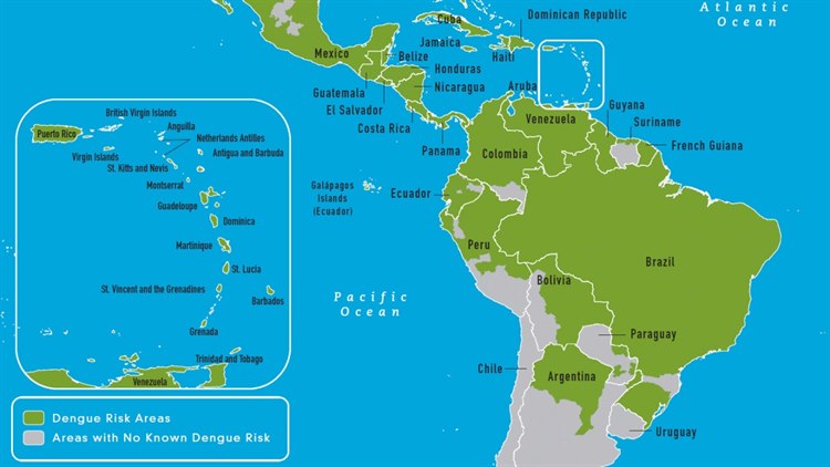 Dengue, Ausbreitung: Amerika Dengue, Ausbreitung: Amerika